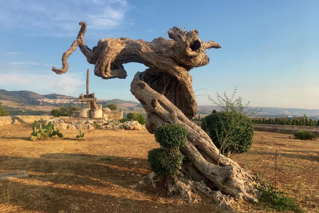 Photo of Outdoor in Chiaramonte Gulfi