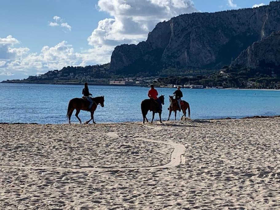 Photo of Others in Mondello