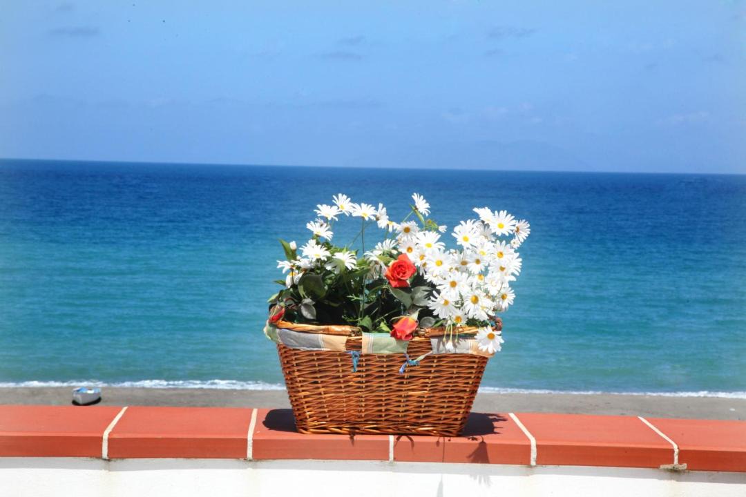 Photo of Patio Balcony in Marchesana