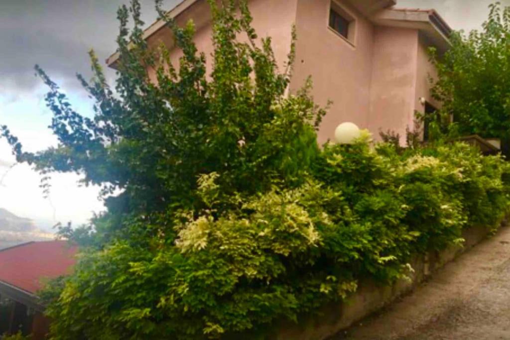 Photo of Others in Altofonte