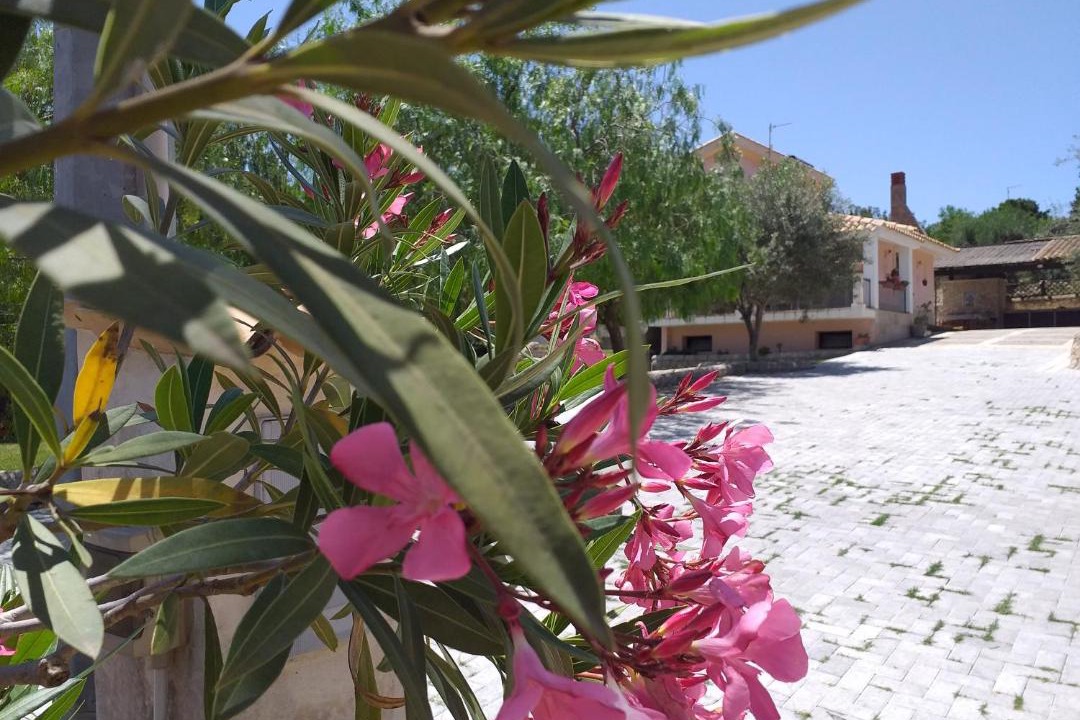 Photo of Others in Noto Marina