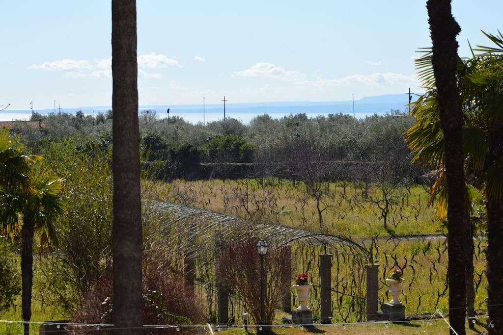 Photo of Outdoor in Mascalucia