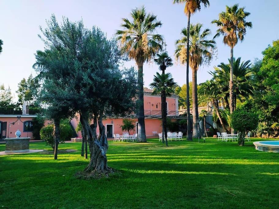 Photo of Others in Mascalucia