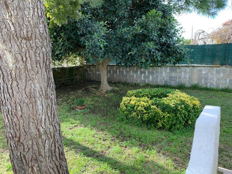 Photo of Outdoor in Punta Milocca