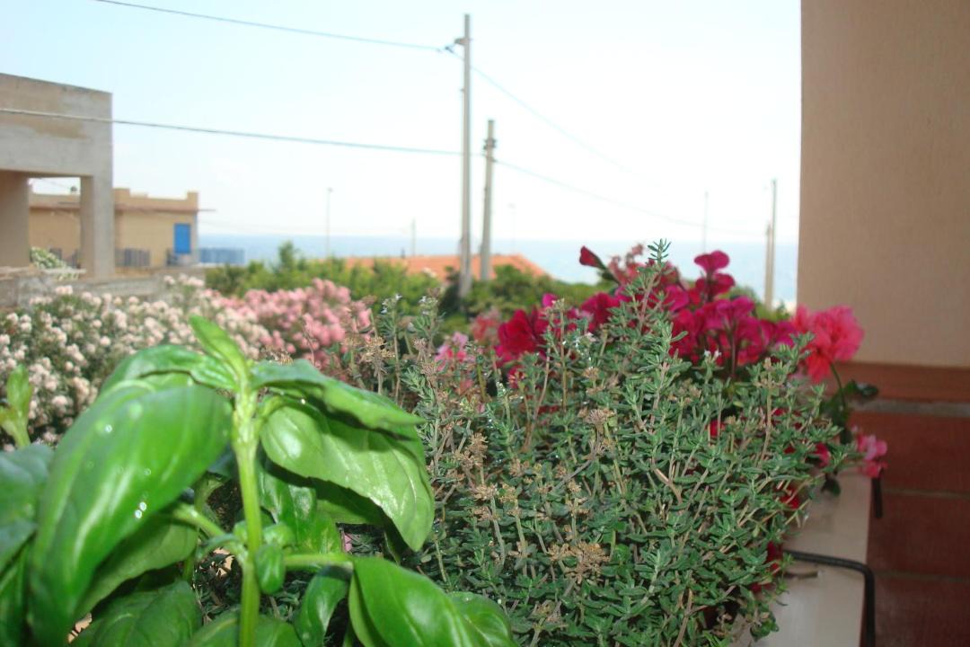 Photo of Others in Calabernardo