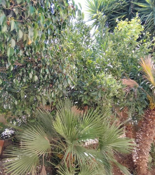 Photo of Others in Luogo Grande