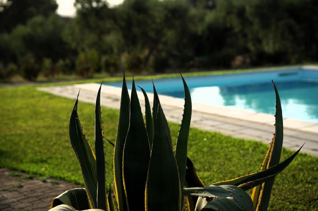 Photo of Outdoor in Caltagirone