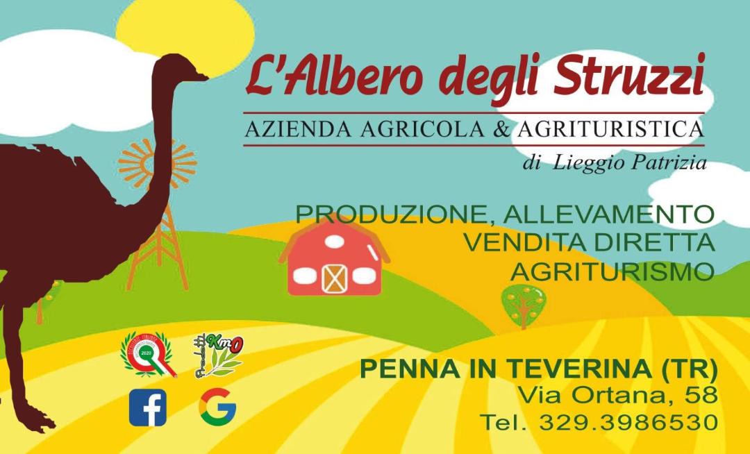 Photo of Others in Penna in Teverina