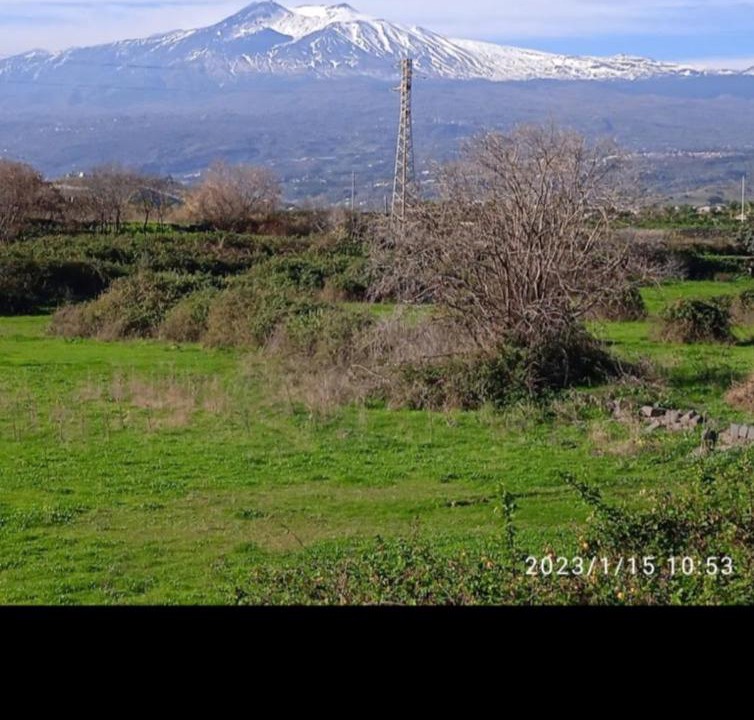 Photo of Others in Porticato