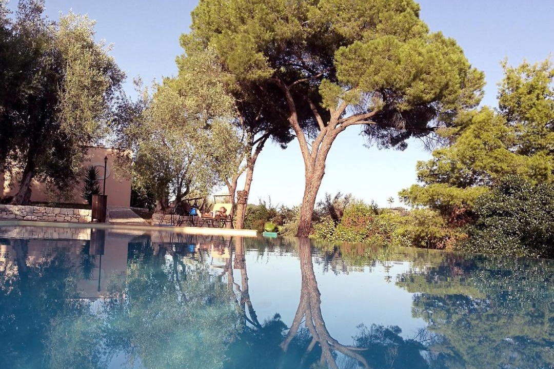 Photo of Outdoor in Casa Papa