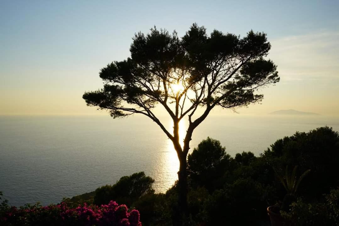 Photo of Others in Anacapri