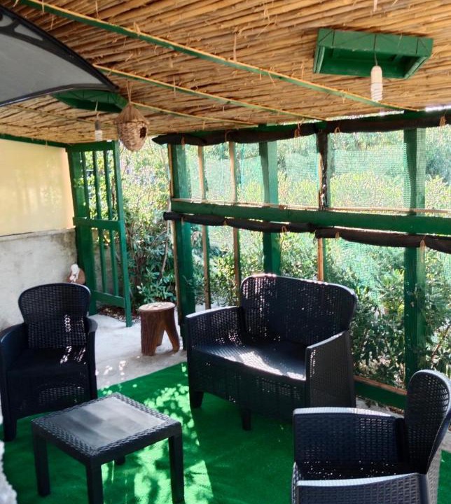 Photo of Patio Balcony in Syracuse