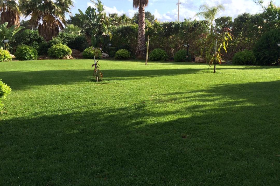 Photo of Outdoor in Custonaci