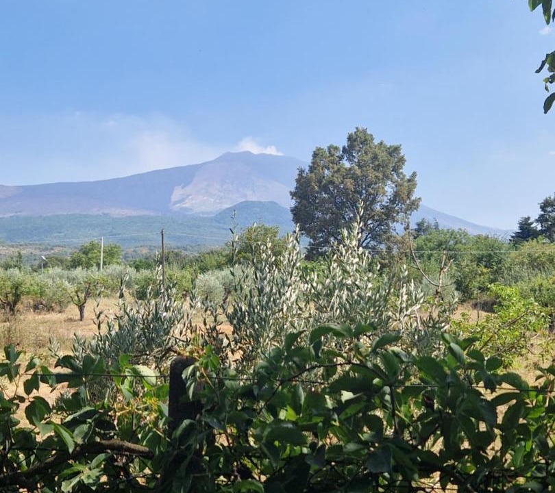 Photo of Outdoor in Maletto