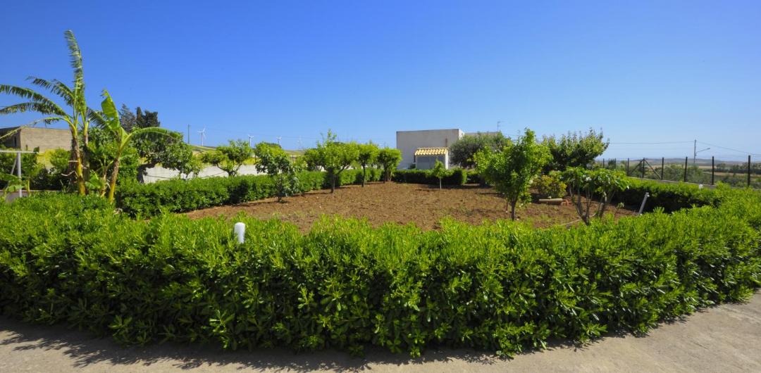 Photo of Outdoor in Dattilo