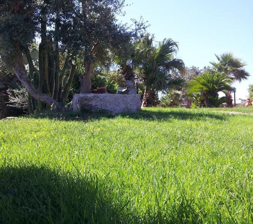 Photo of Others in Favignana