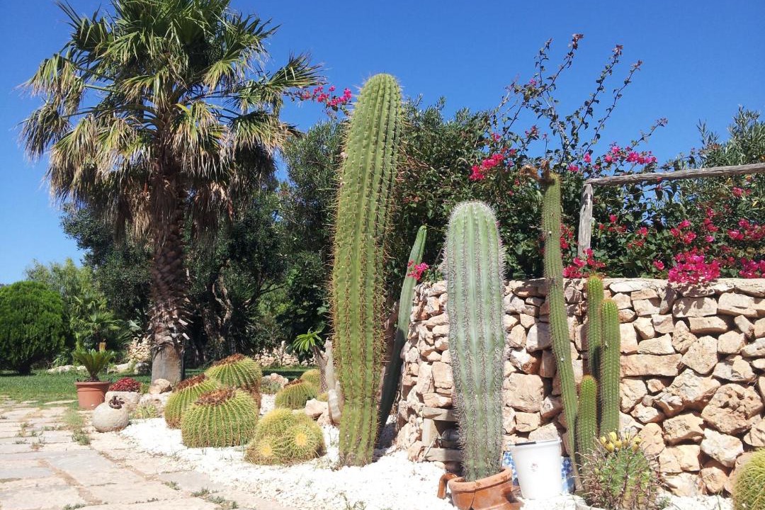 Photo of Others in Favignana