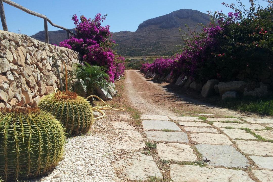 Photo of Others in Favignana