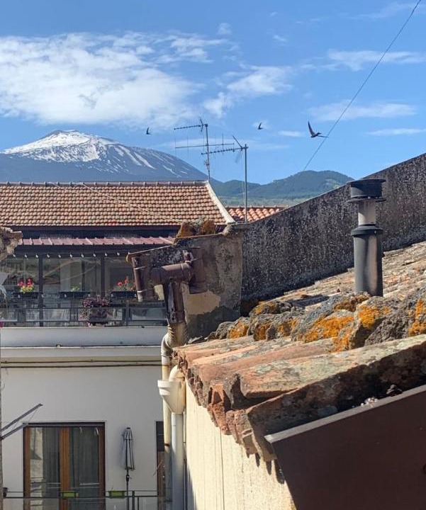Photo of Others in Randazzo