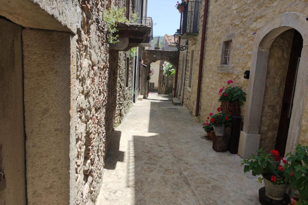 Photo of Others in Montalbano Elicona