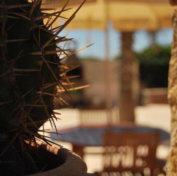 Photo of Others in Favignana