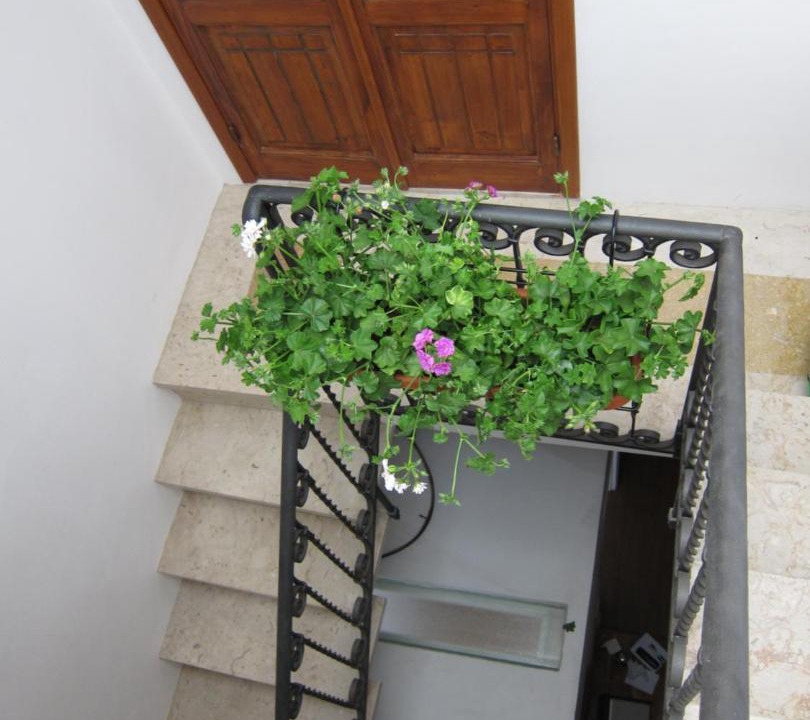Photo of Others in Trapani