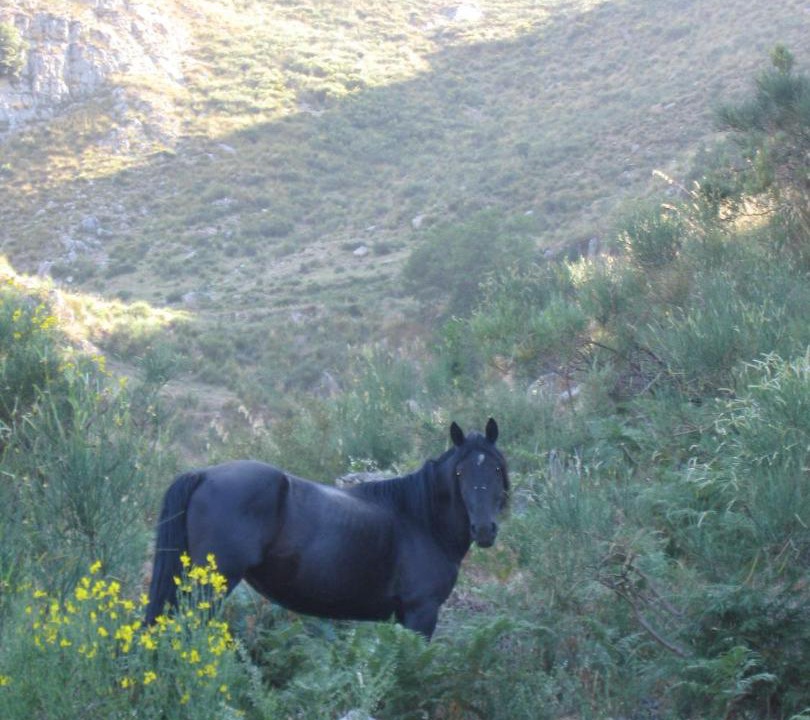 Photo of Others in Tortorici