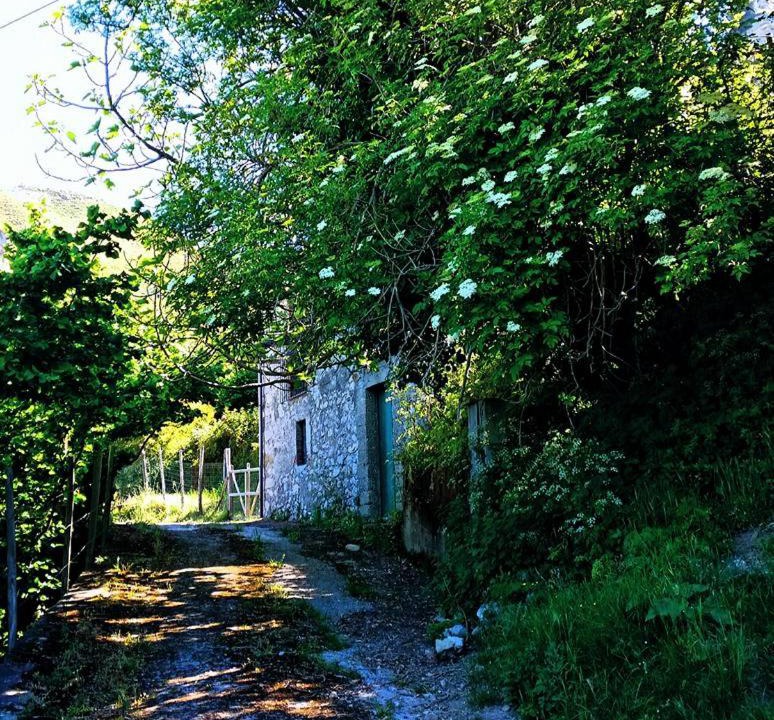 Photo of Others in Tortorici