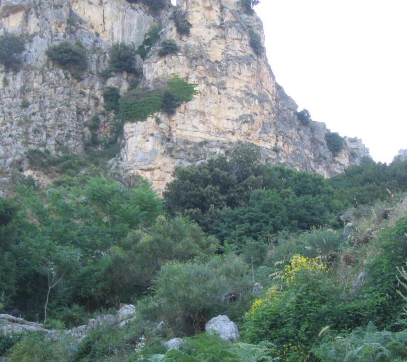Photo of Others in Tortorici