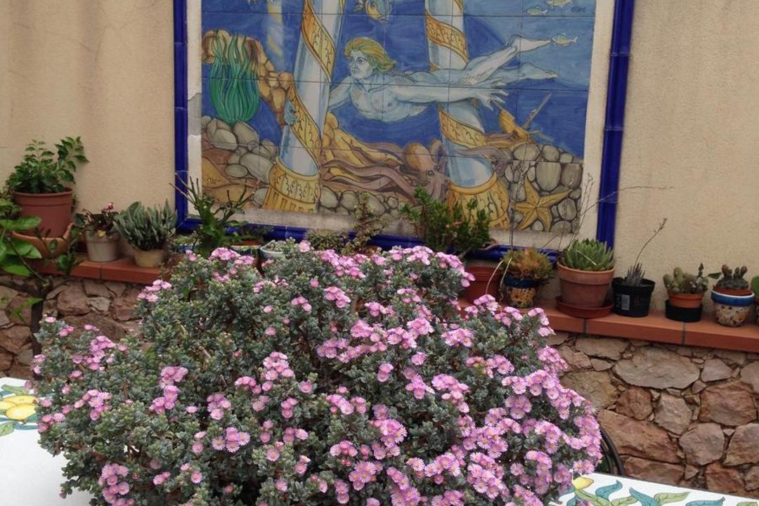 Photo of Others in Santa Teresa di Riva