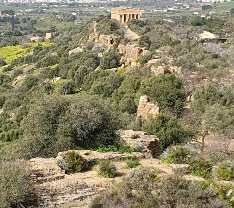 Photo of Others in Realmonte