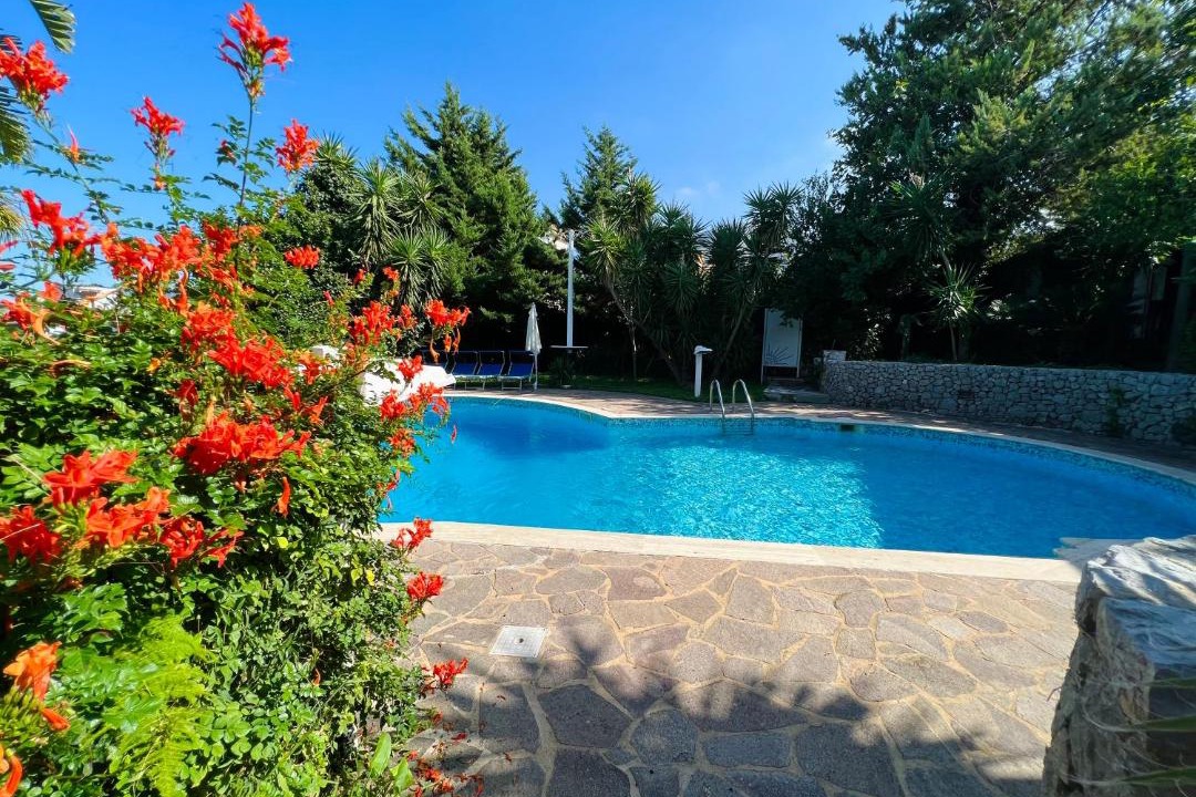 Photo of Outdoor in Carini