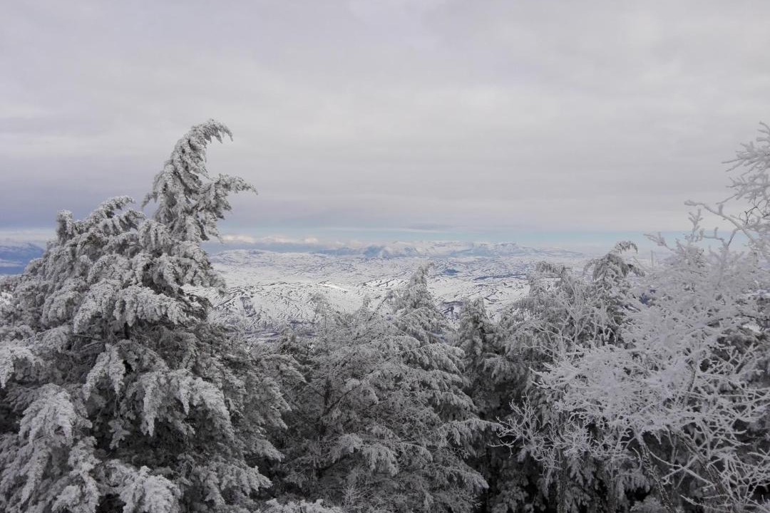 Photo of Outdoor in Cammarata