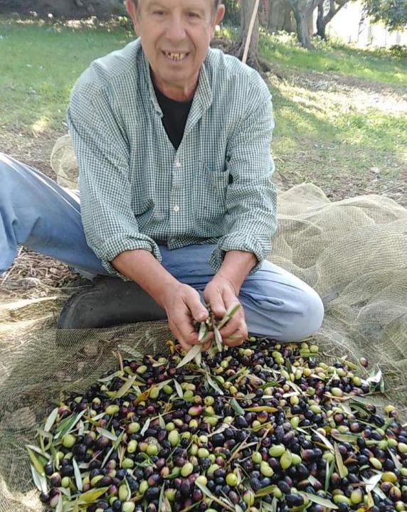 Photo of Others in Librizzi