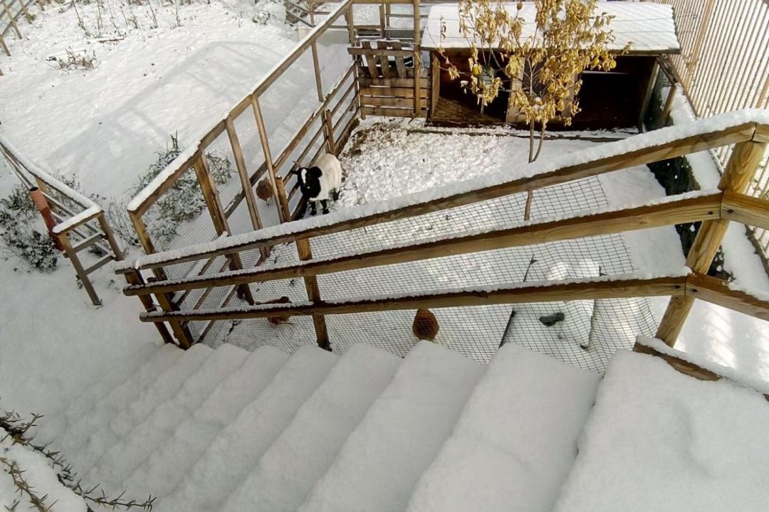 Photo of Patio Balcony in Zafferana Etnea