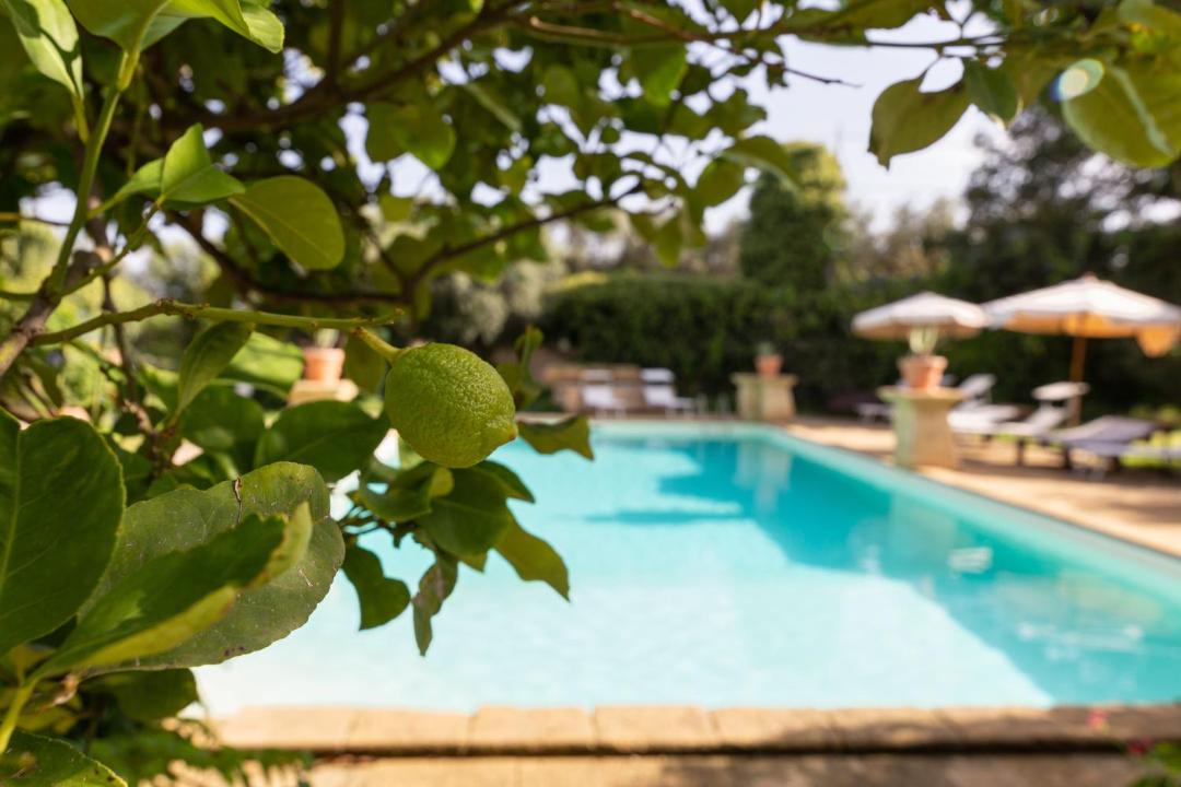 Photo of Outdoor in Mockarta