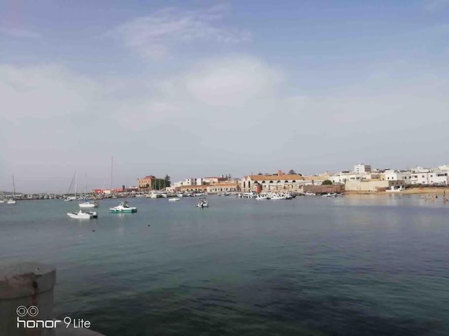 Photo of Others in Favignana
