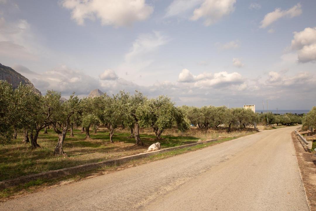 Photo of Outdoor in Castelluzzo