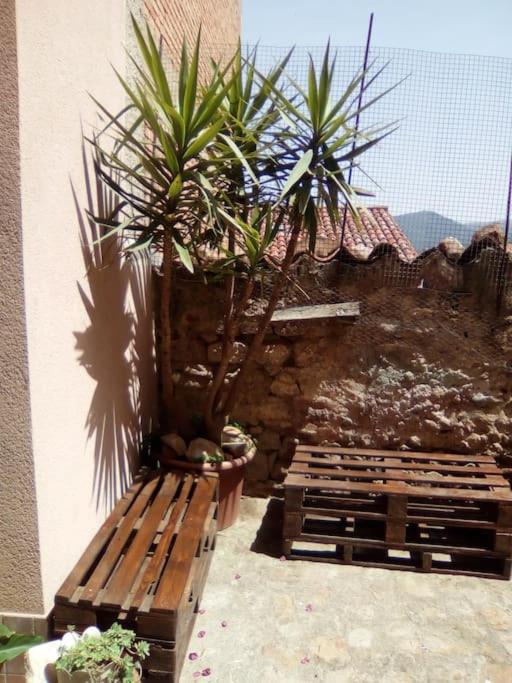 Photo of Others in Castelbuono