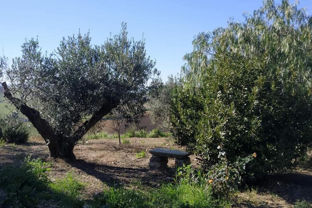 Photo of Outdoor in Monreale