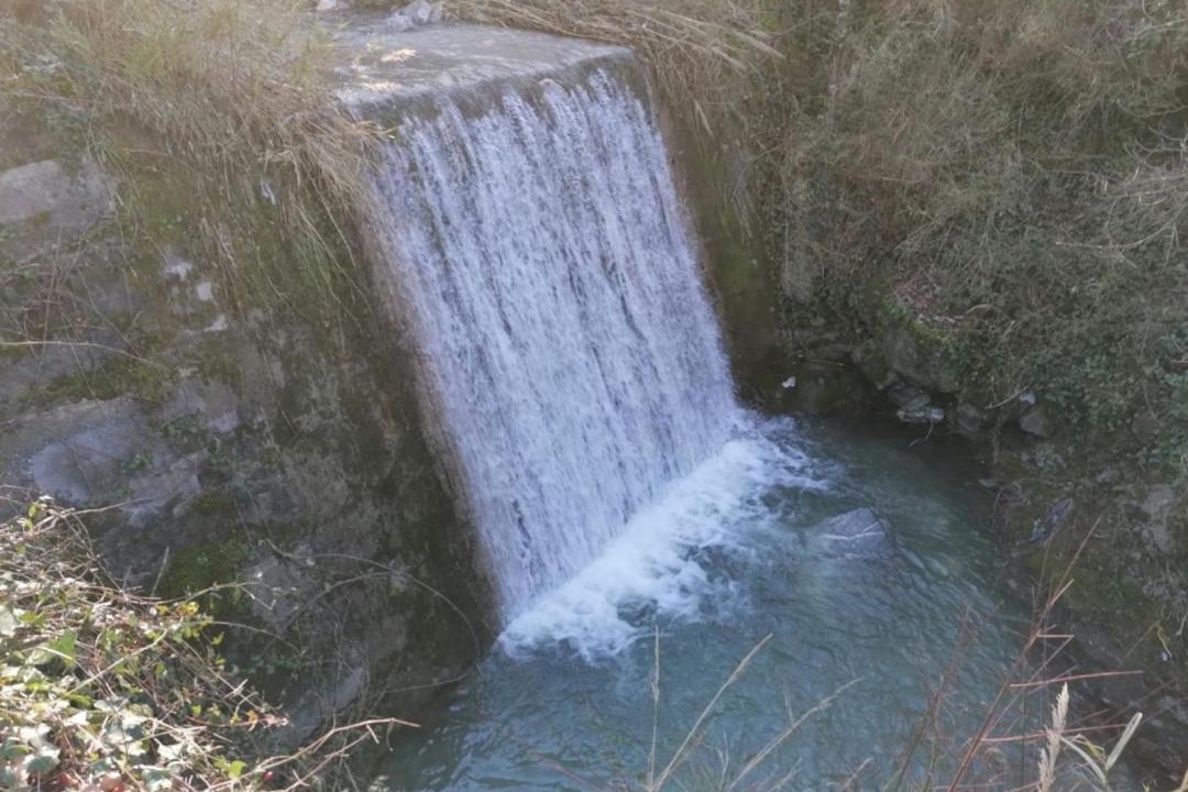 Photo of Others in Lauria