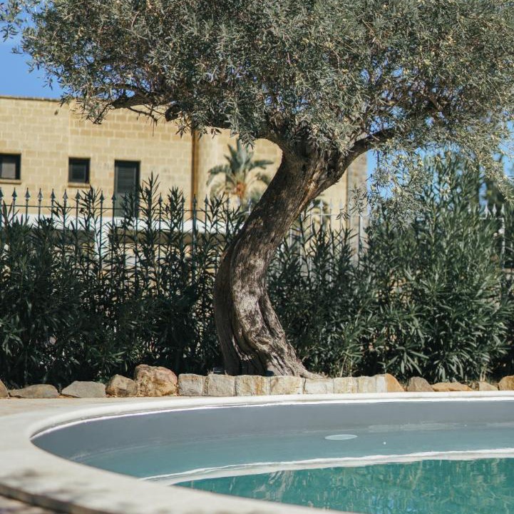 Photo of Outdoor in Mazzaforno
