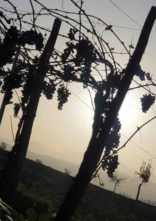 Photo of Others in Sant'Angelo dei Lombardi
