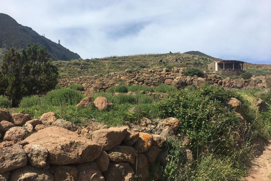 Photo of Others in Pantelleria