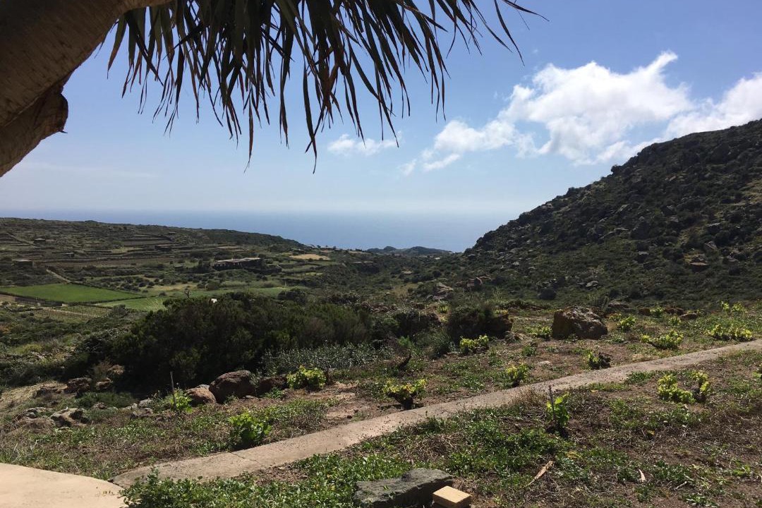 Photo of Others in Pantelleria