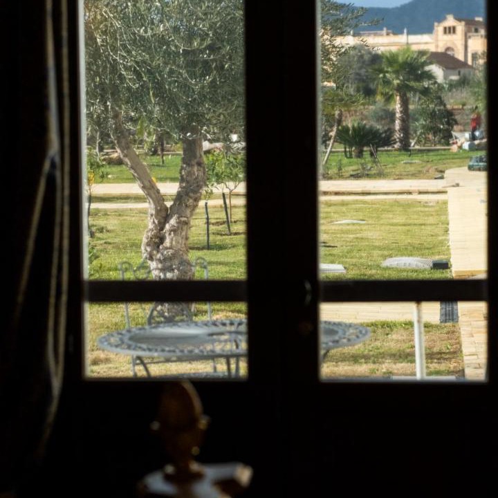 Photo of Others in Palermo