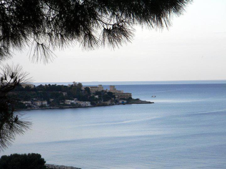 Photo of Others in Casteldaccia