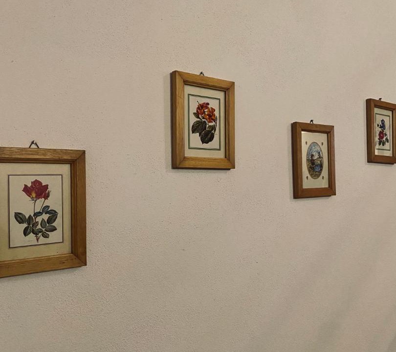 Photo of Others in Old Town