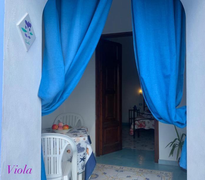 Photo of Others in Canneto