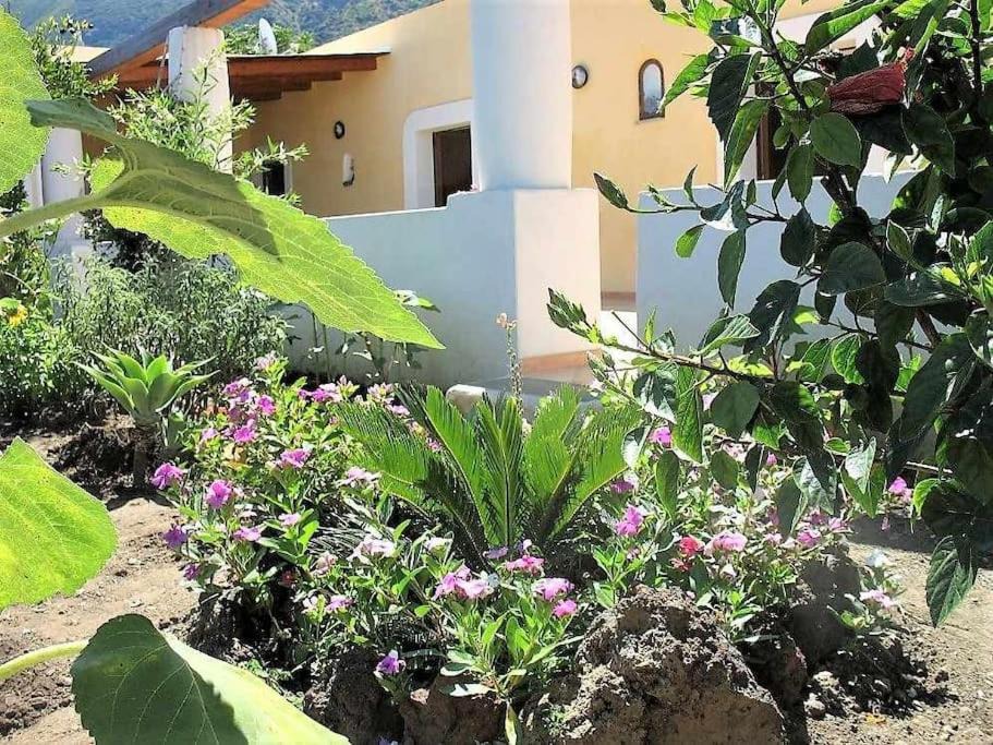 Photo of Buildings in Malfa